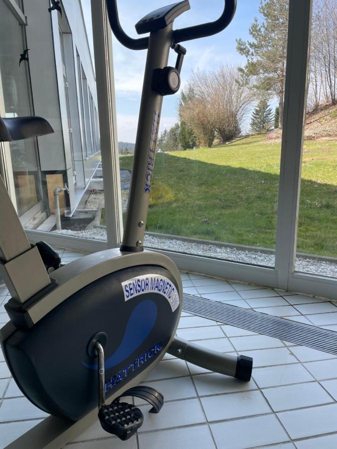 Dreisessel Dreilaendereck Pool Sauna Нойрайхнау Екстериор снимка